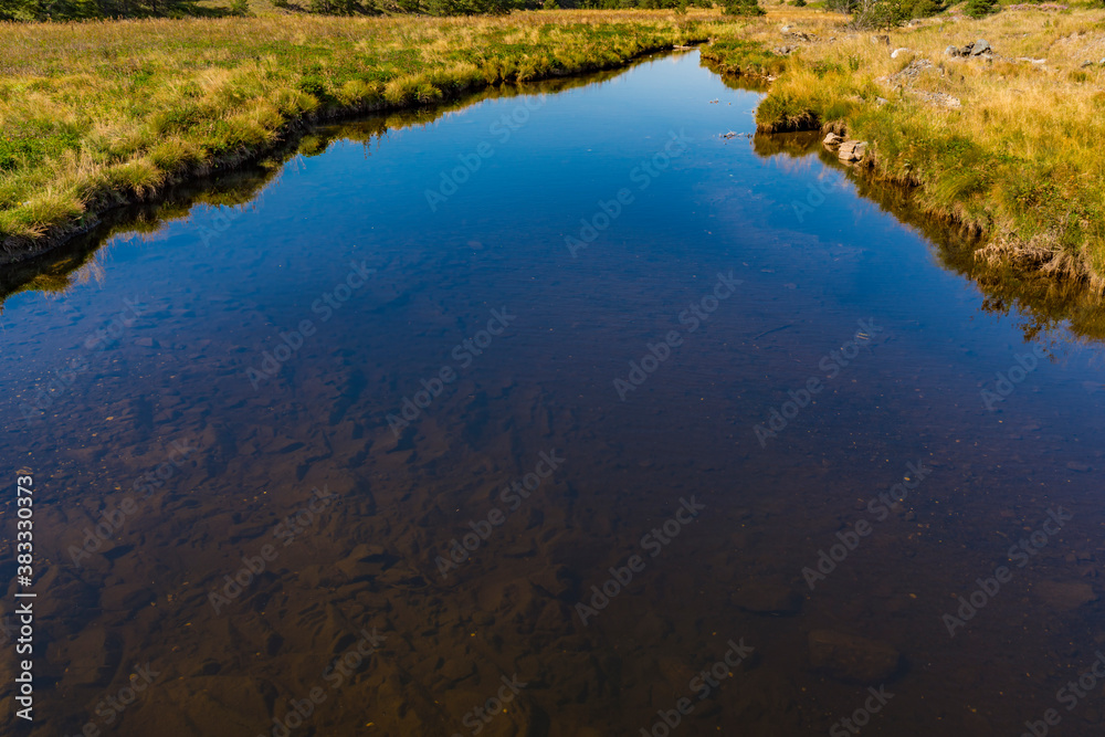 Crni Rzav river on Zlatibor mountain in Serbia