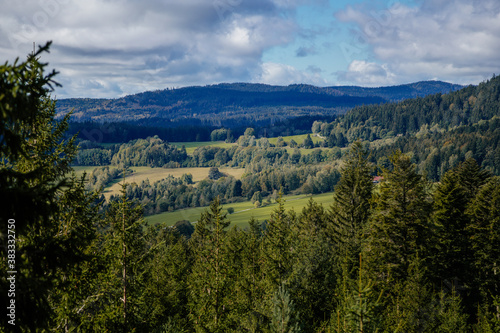 Panorama of Sumana national park (Kramolin and Slupecny Vrch) from Treetop Walkway, Lipno nad Vltavou, South Bohemia, Czech Republic