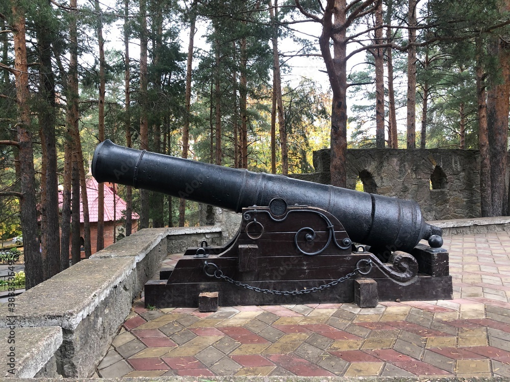 cannon at the fortress