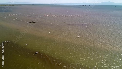 delta Axios River, in northern Greece photo