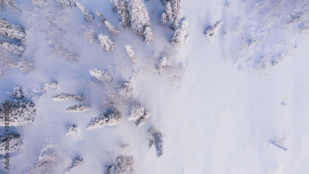 Aerial view from drone of frozen snowy peaks of endless coniferous forest trees in Lapland National park environment, bird’s eye top view of famous natural landmark in Riisitunturi on winter season Aerial view from drone of frozen snowy peaks of endless coniferous forest trees in Lapland National park environment, bird’s eye top view of famous natural landmark in Riisitunturi on winter season
