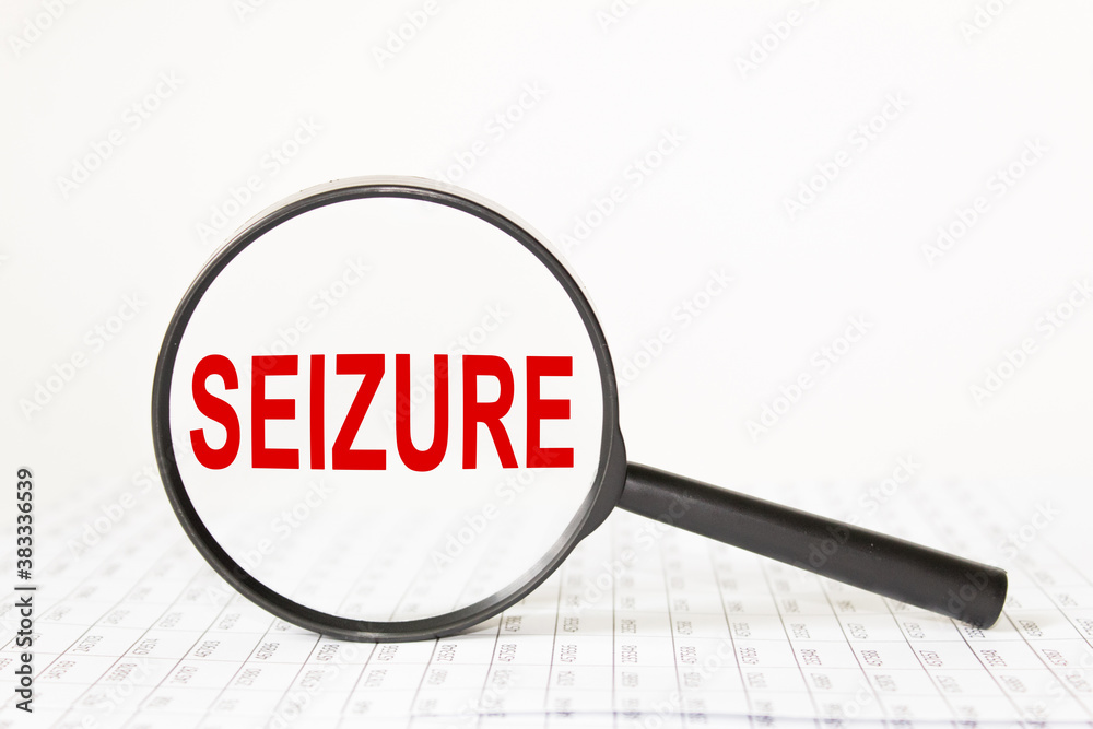 words SEIZURE in a magnifying glass on a white background. business concept words SEIZURE in a magnifying glass on a white background. business concept
