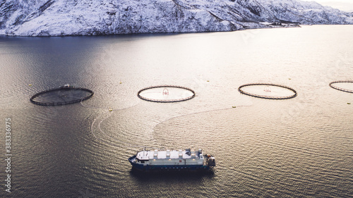 Salmon fish farming in Norway sea. Food industry, traditional craft production, environmental conservation. Aerial view of round mesh for growing and catching fish in arctic water surrounded by fjords