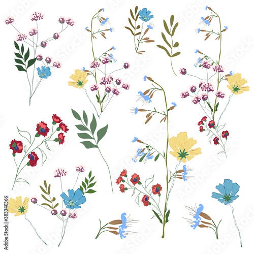 Hand drawn flower collection. Various flowers from fields and meadows in bouquets. Big set botanic branches, leaves, foliage, herbs, wild plants. Bloom vector illustration isolated on white background