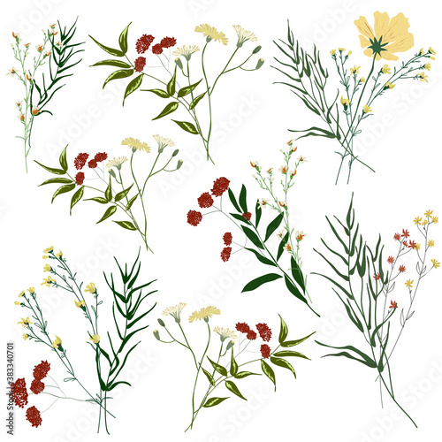Hand drawn flower collection. Various flowers from fields and meadows in bouquets. Big set botanic branches, leaves, foliage, herbs, wild plants. Bloom vector illustration isolated on white background