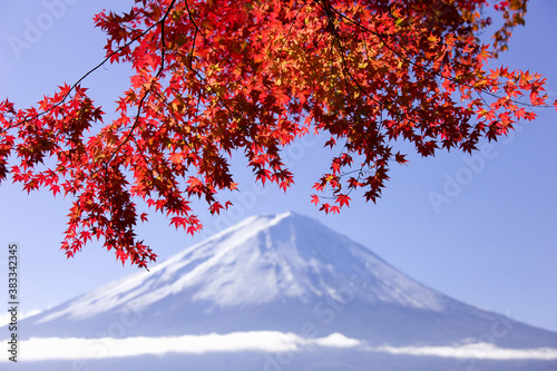 紅葉と富士山