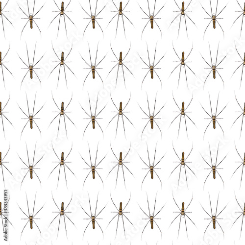 Giant Scary Spider Pattern Isolated on a white background.