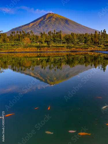 Mountain reflection of Embung Kledung lakes. Mountain Sindoro reflection with blue skies. Beautiful view for wallpaper or design background. 