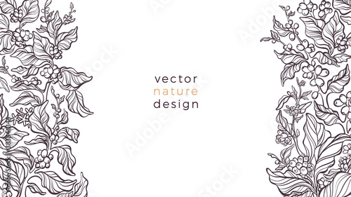 Vector nature border. Coffee plant Art bio pattern