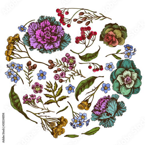 Round floral design with colored wax flower, forget me not flower, tansy, ardisia, brassica, decorative cabbage
