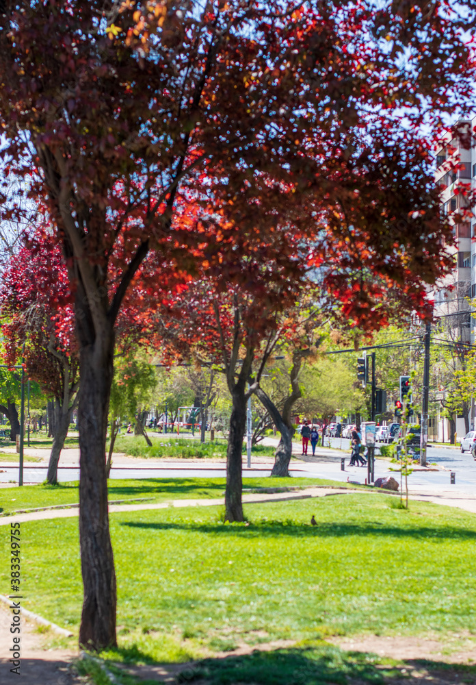 Parque Parque