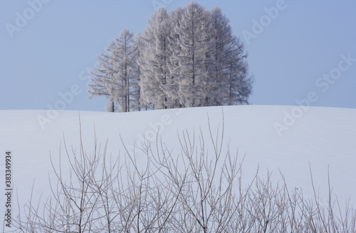 Wallpaper Mural 樹氷 Torontodigital.ca