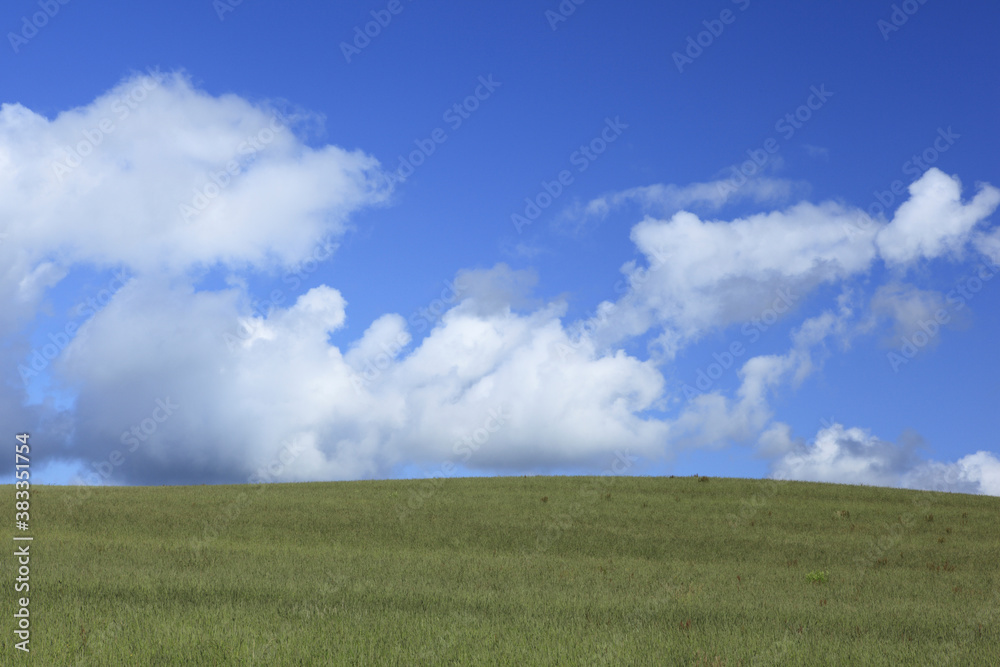 草原と雲草原と雲 草原と雲草原と雲