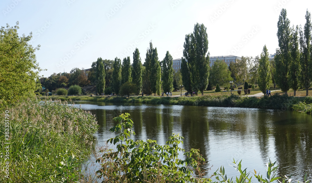 Obraz premium Landscape with poplars on the embankment of the Tambov