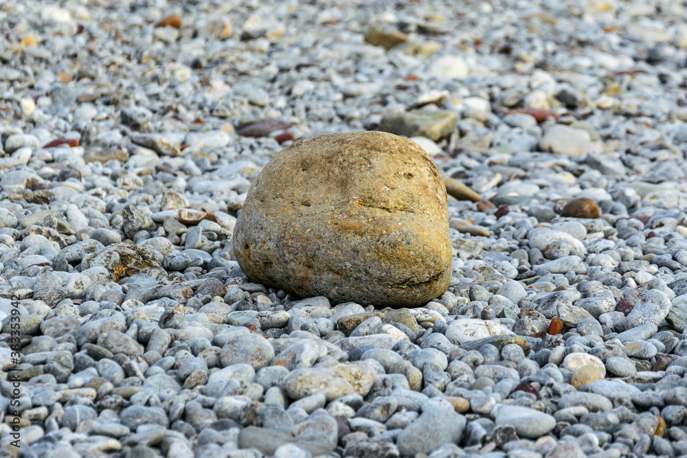 Cobblestone on a pebble beach Cobblestone on a pebble beach