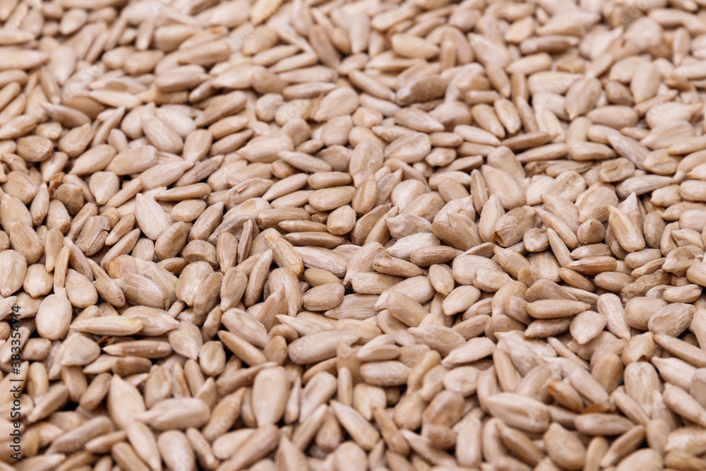 Roasted sunflower seeds background. Macro shot.