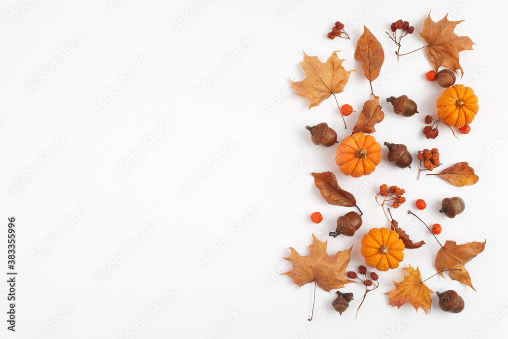 Plakat Autumn composition. Dried leaves and pompkins on white background. Top view. Flat lay.
