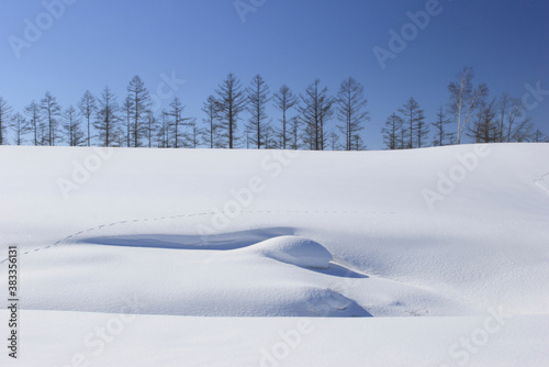 雪景と並木 © Paylessimages