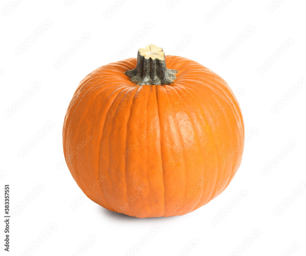 Fresh ripe pumpkin isolated on white. Organic plant Fresh ripe pumpkin isolated on white. Organic plant