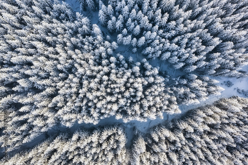 Aerial view on the forest at the winter time. Natural winter landscape from air. Forest under snow at the winter time. Landscape from drone
