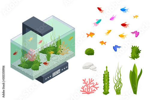Isometric Goldfish in the Freshwater Aquarium and Set of Aquarium Underwater Elements, Fish, Corals, Green Planted Tropical, Stones Isolated on White Background.