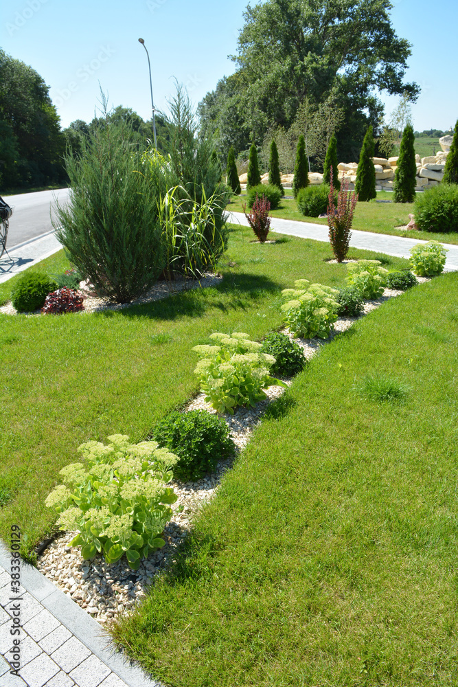 Design of landscaping in the garden, park, square, recreation area Design of landscaping in the garden, park, square, recreation area