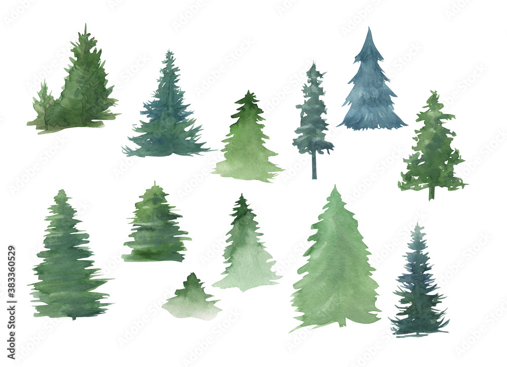 Obraz Watercolor trees on a white background, pine, group of trees, forest clipart
