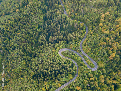 Aerial view of forest road in beautiful autumn at sunset. 