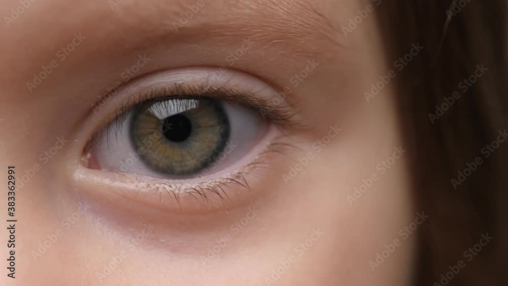 Eye of Child Looking the Camera. Extreme Close-Up. Stare at Something. Children's Emotions. Children's Look. Focused Eye of Cute Baby Girl. Attractive Enthusiastic Eye's Kid. Girl Looking Into the Eye of Child Looking the Camera. Extreme Close-Up. Stare at Something. Children's Emotions. Children's Look. Focused Eye of Cute Baby Girl. Attractive Enthusiastic Eye's Kid. Girl Looking Into the