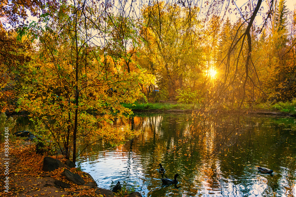 Obraz premium The fall sunset