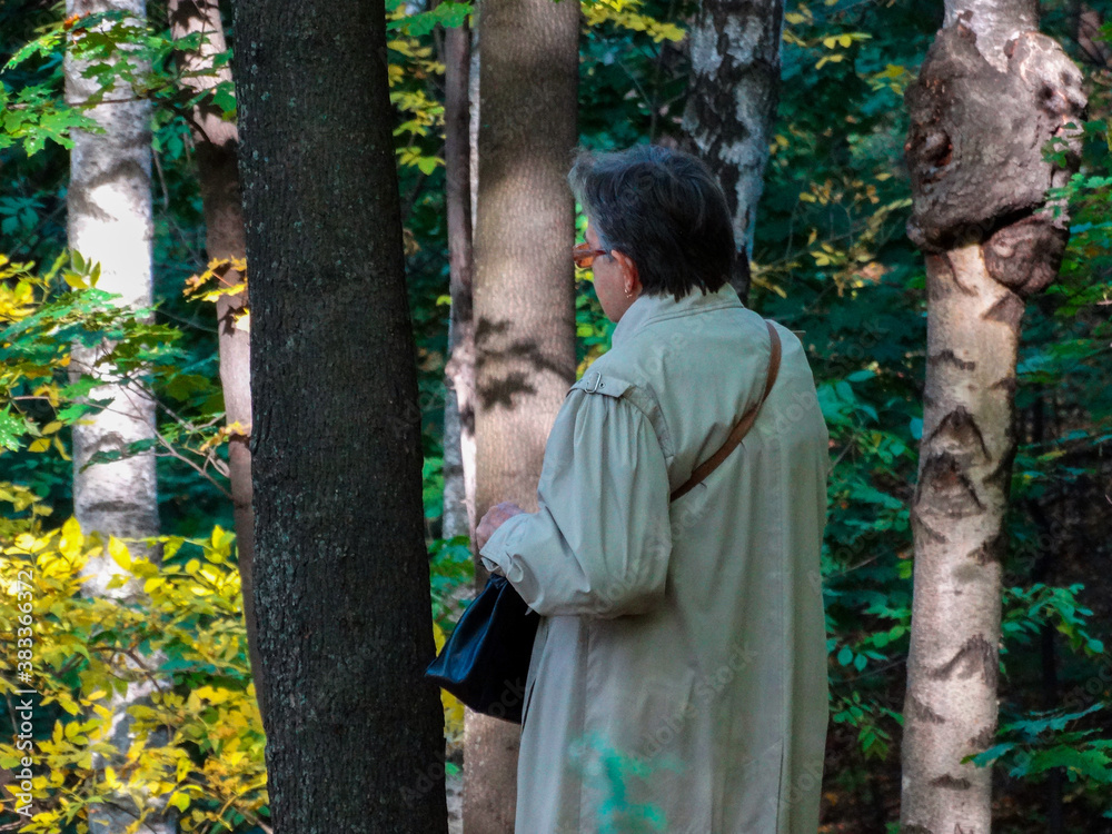 An elderly woman of 70 years touches the bark of trees in the autumn city Park, illuminated by the sun. An elderly woman of 70 years touches the bark of trees in the autumn city Park, illuminated by the sun.