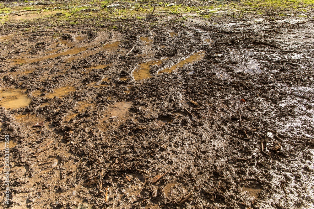 Mud texture background. Muddy road after the rain. Puddles on the road. Mud texture background. Muddy road after the rain. Puddles on the road.