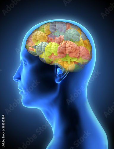 3D human head with many colorful brains inside on dark BG