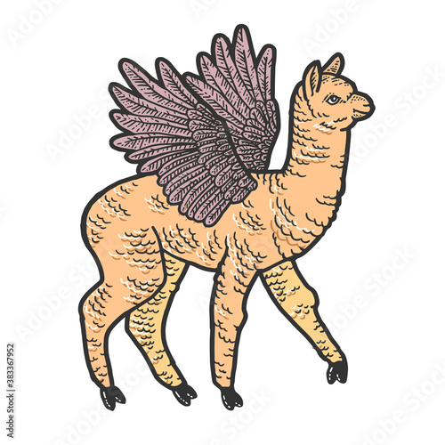 Cute llama with wings. Scratch board imitation. Color hand drawn image.