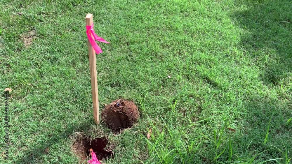 Residential real estate survey stake with pink ribbon on a green grass yard