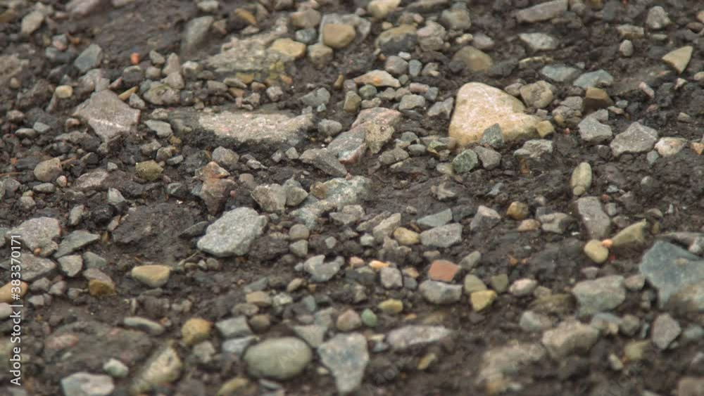stones background, background of preparation of works for a paving, stones near the road, exactly lined stone and gravel before construction, a basis for construction stones background, background of preparation of works for a paving, stones near the road, exactly lined stone and gravel before construction, a basis for construction