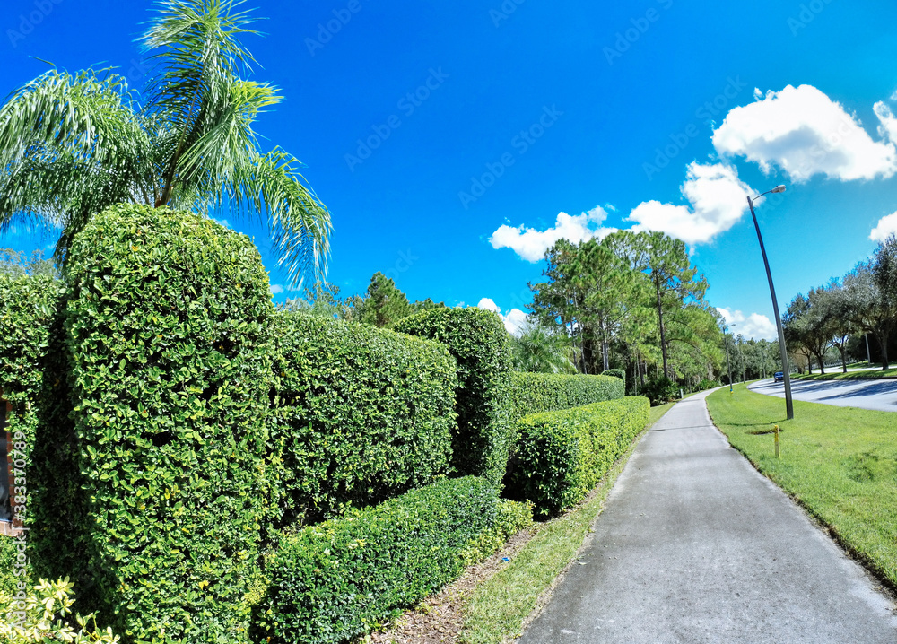 The Autumn landscape of New Tampa, Florida: beautiful cloud and blue sky	