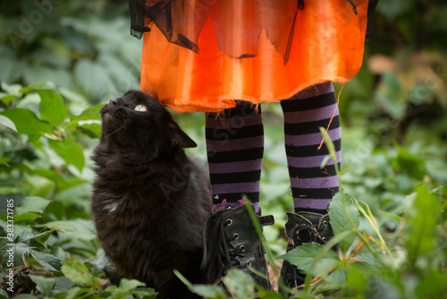 Halloween big fluffy cat sitting near little girl legs wearing black striped tights and leather boots.