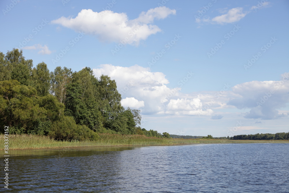 Beautiful Medveditsa river shore with green trees and grass on blue sky with white clouds and calm water background at summer day, scenery Russian natural landscape view