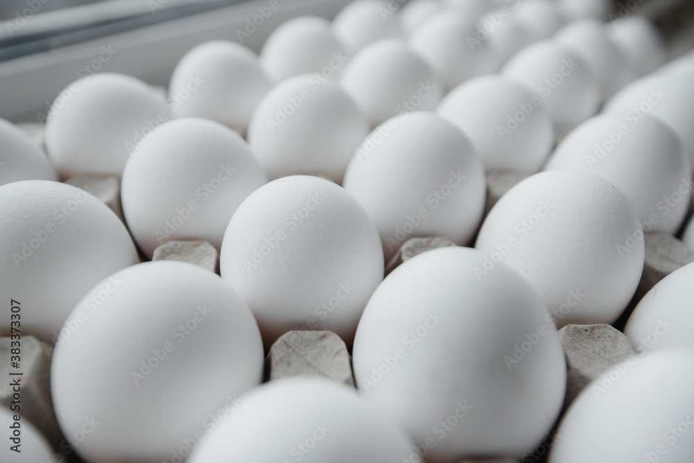 Tray of white fresh eggs close-up on a cardboard form. Agricultural industry Tray of white fresh eggs close-up on a cardboard form. Agricultural industry