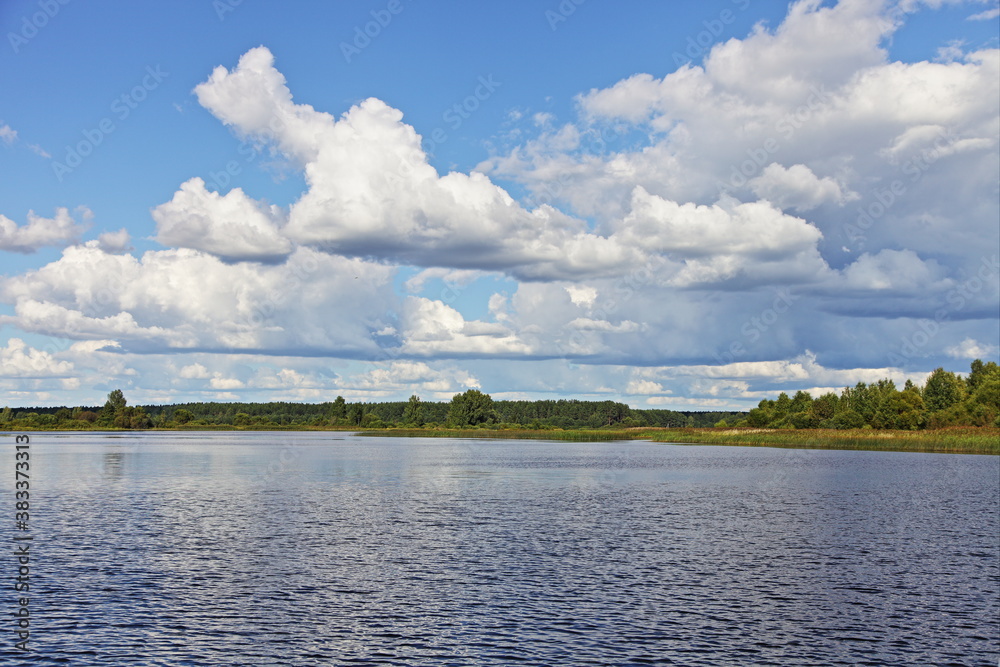 Beautiful Medveditsa river bank with green trees and grass stripe on Horizon on blue sky with white clouds and calm water background at summer day, scenery Russian natural landscape view