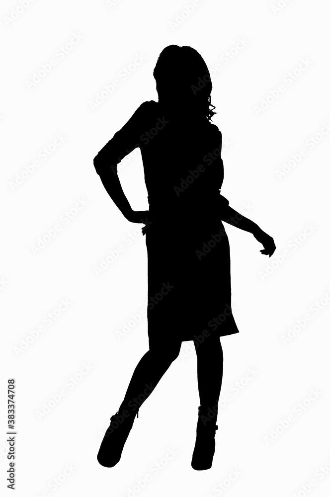 Fototapeta premium シルエット