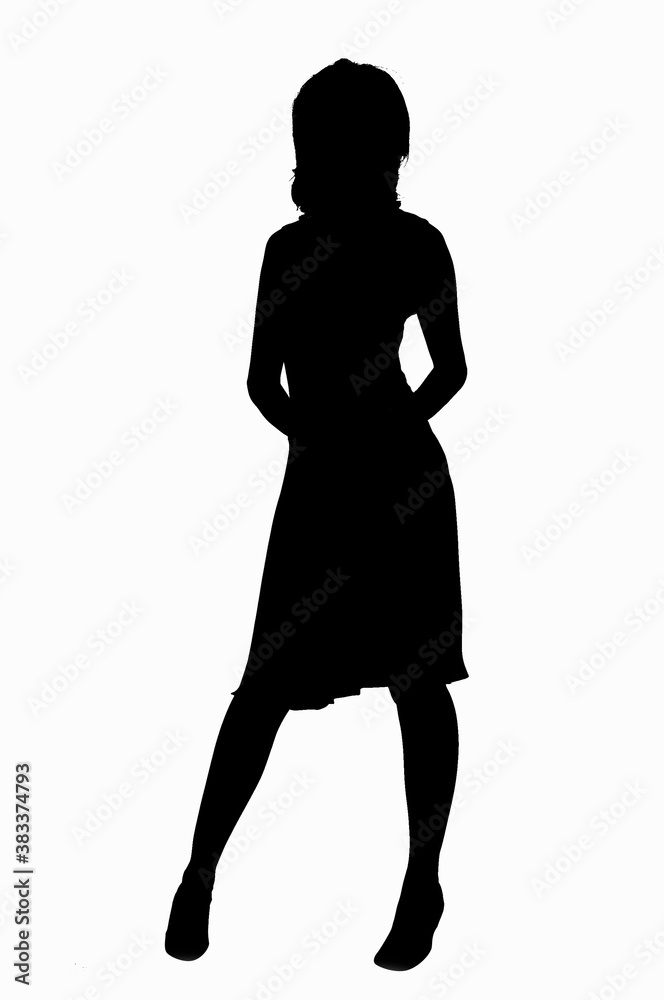 Fototapeta premium シルエット