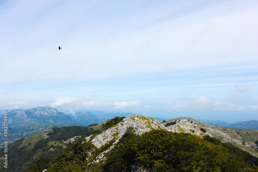 Bird flying over the mountains in the sky Bird flying over the mountains in the sky