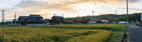 Beautiful panoramic view of traditional Japanese farming village at sunrise