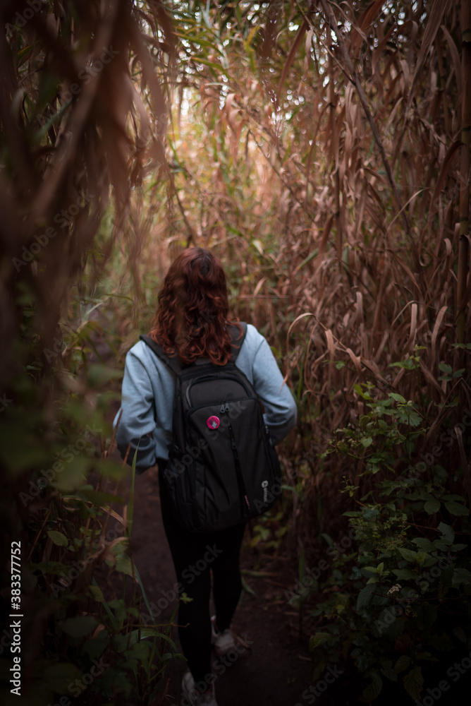 Chica haciendo el precioso sendero del barranco de los Cernícalos, Gran Canaria. España Chica haciendo el precioso sendero del barranco de los Cernícalos, Gran Canaria. España