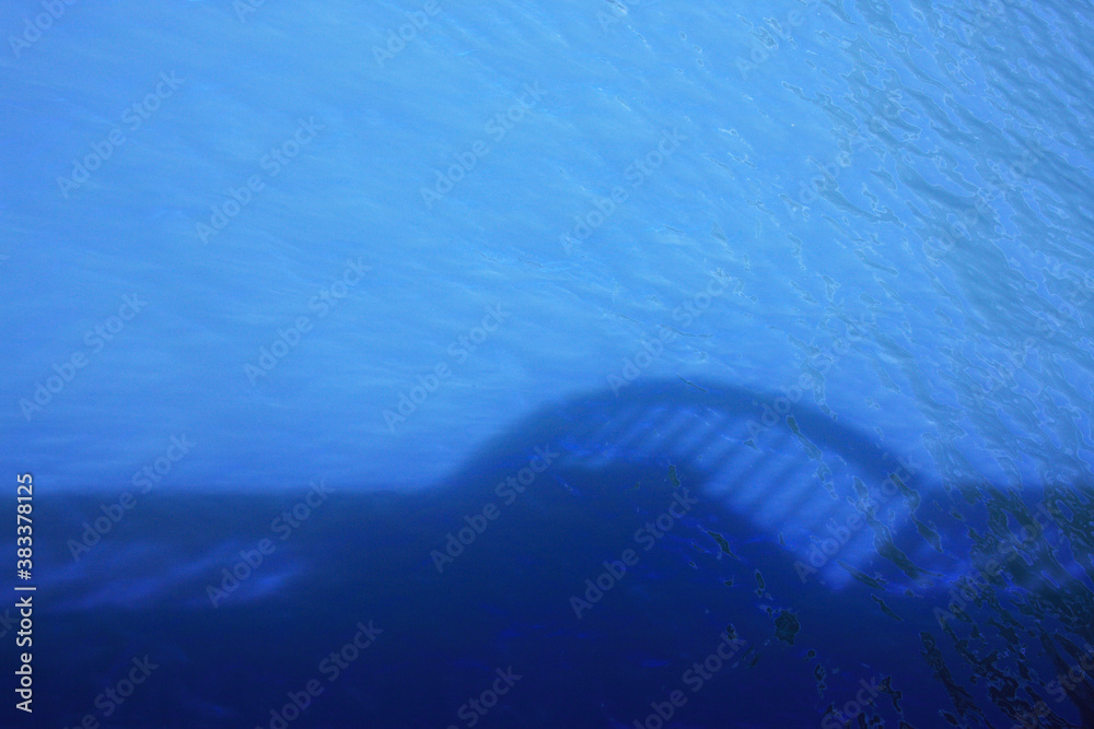 Naklejka premium 水面に映る影