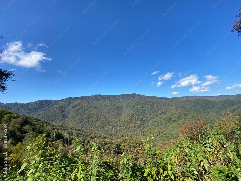 Smokey Mountain Ridge