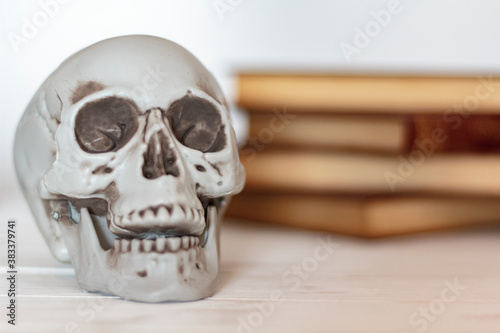 Skull and old books on the background