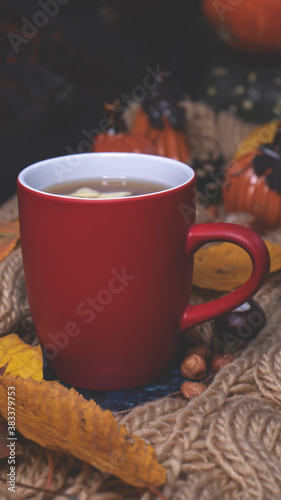 Red mug with tea on the background of a soft, knitted scarf, autumn leaves, pumpkin. Autumn background, cozy evening, fireplace.
